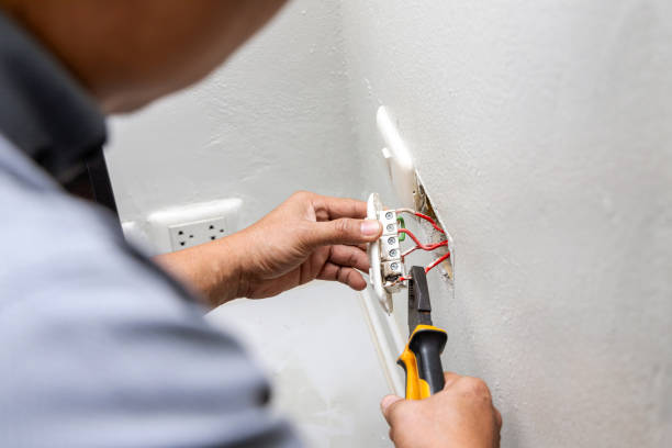 Best Electrical Upgrades for Homes  in Magnolia, NC