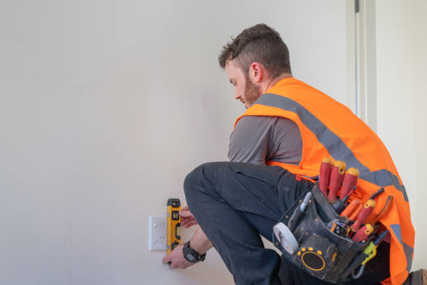Best Electric Panel Repair  in Magnolia, NC