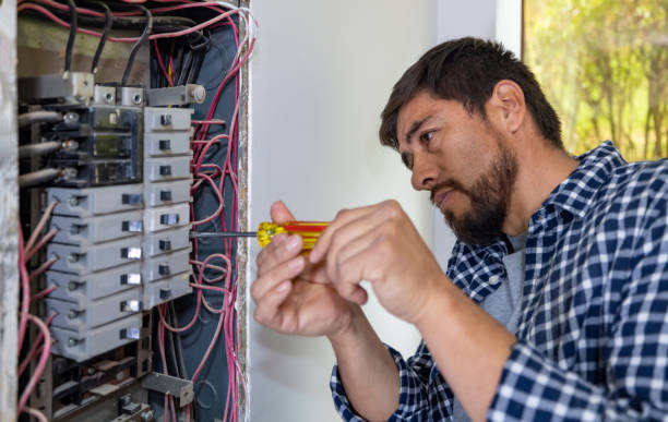 Best Electrician for Home Renovation  in Magnolia, NC